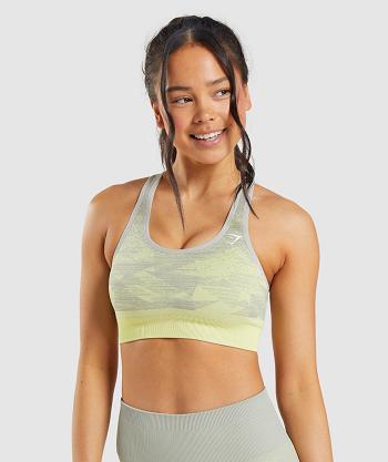 Sujetadores Deportivos Gymshark Adapt Ombre Seamless Mujer Gris Marrones Gris | CO 2201UZG